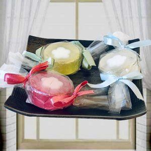 Hand Soaps by TAG Small Decorative Scented with Ceramic Dish Wrapped New